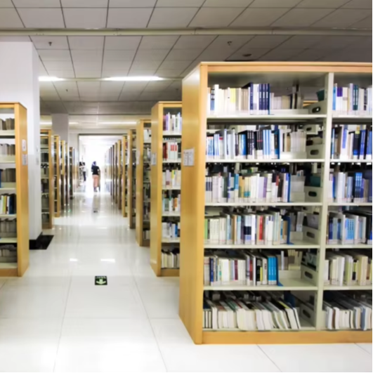 Home Office Library - Factory Direct Double-Sided Book Shelves Metal