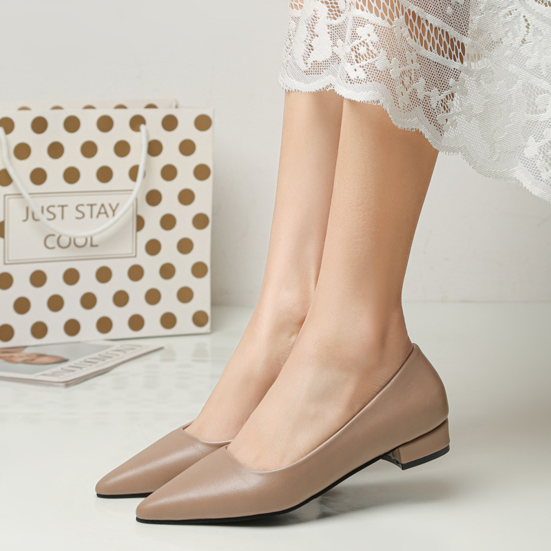 Spring Pointed Toe Shallow Mou - Home Office Makeover ulasan dan harga