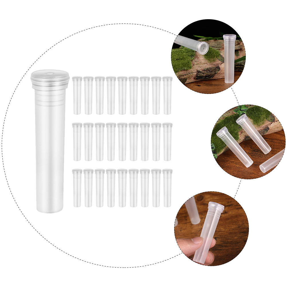 100Pcs Transparent Hydroponic  - Home Office With Plants ulasan dan harga