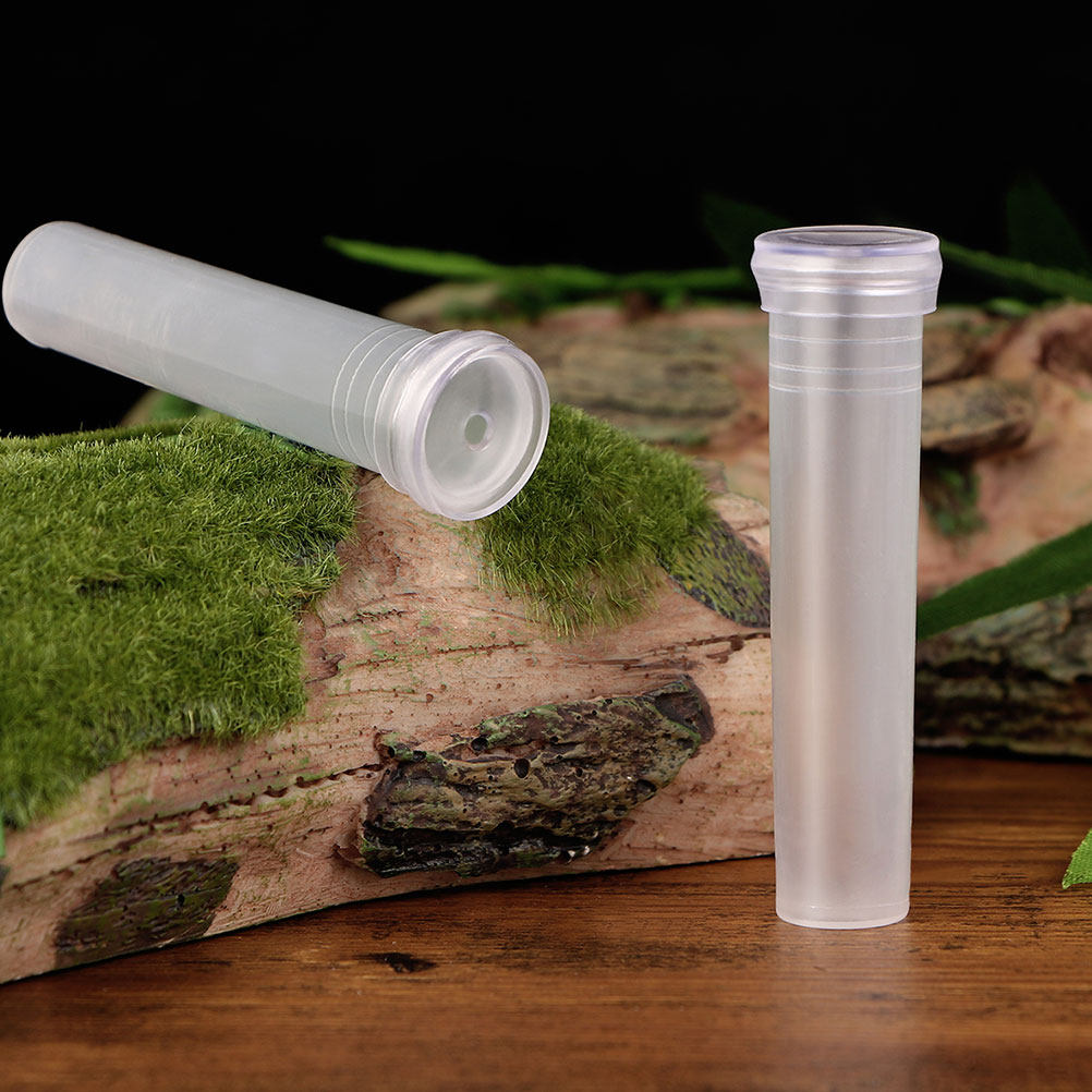 100Pcs Transparent Hydroponic  - Home Office With Plants ulasan dan harga